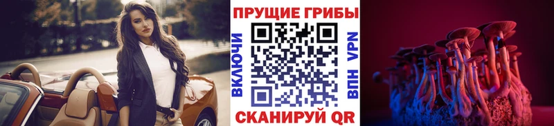 Купить где Озёрск Галлюциногенные грибы MAGIC MUSHROOMS